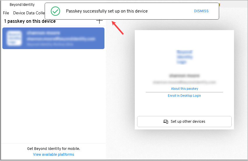 passkey-registered.png