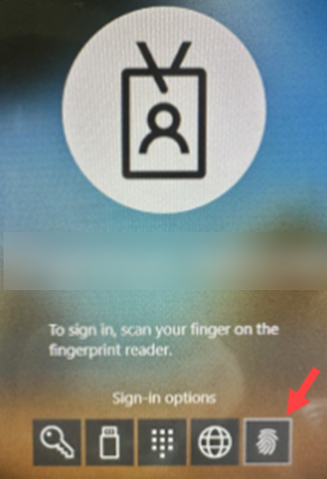 login option.png