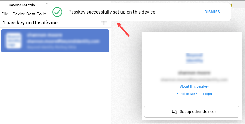 passkey-registered-pa.png