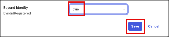 set to true.png